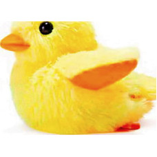 Интерактивная игрушка утка желтая