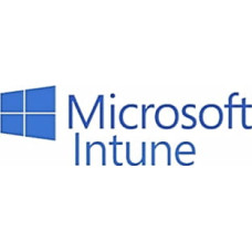 Офисное приложение Microsoft Intune Device P1Y Annual License (CFQ7TTC0LCH4_0004_P1Y_A)