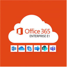 Офисное приложение Microsoft Office 365 E1 P1Y Annual License (CFQ7TTC0LF8Q_0001_P1Y_A)