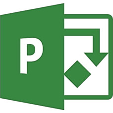 Офисное приложение Microsoft Project Professional 2021 Commercial, Perpetual