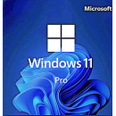 Операционная система Microsoft Win Pro 11 64-bit All Lng PK Lic Online DwnLd NR