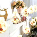 Гирлянда Xmas WW-1 Copper curtain ball lamp 7258 Санта, теплый белый свет