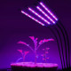 Фитолампа светодиодная для растений Plant Grow Light 7819 с таймером, черная