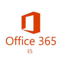 Офисное приложение Microsoft 365 E5 P1Y Annual License;IncludeOverage (CFQ7TTC0LFLZ_0002_P1Y_A)