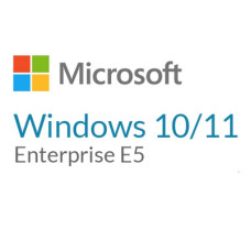 Операционная система Microsoft Windows 10/11 Enterprise E5 P1Y Annual License (CFQ7TTC0LFNW_0002_P1Y_A)