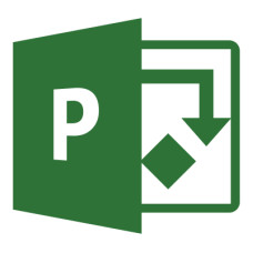 Офисное приложение Microsoft Project Professional 2021 Commercial, Perpetual (DG7GMGF0D7D7_0001)