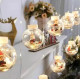 Гирлянда Xmas WW-1 Copper curtain ball lamp 7258 Санта, теплый белый свет