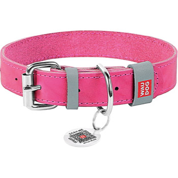 Ошейник для собак кожаный Collar WAUDOG Classic, XS, Ш 12 мм, Дл 21-29 см