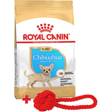 Промо набор Сухой корм для щенков породы чихуахуа Royal Canin Chihuahua Puppy 1.5 кг + игрушка для собак