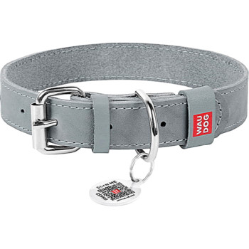 Ошейник для собак кожаный Collar WAUDOG Classic, XS, Ш 12 мм, Дл 21-29 см 