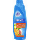 Шампунь Shamtu Питание и Сила c экстрактами фруктов для всех типов волос 600 мл (39543)