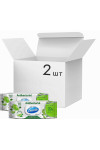 Упаковка влажных салфеток Smile Antibacterial Лайм-мята с витаминами 2 пачки с клапаном по 100 шт. (50396)