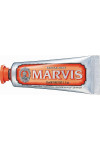 Зубная паста Marvis Имбирь и мята 25 мл (45591)