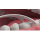 Флосс-зубочистки Комфортное очищение Задние зубы DenTek 75 шт. (44950)