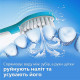 Насадка к электрической зубной щетке PHILIPS Sonicare For Kids HX6042/33 (52192)
