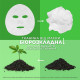 Черная Тканевая маска Garnier Skin Naturals Очищающий Уголь + Листья Черного чая 28 г (42015)