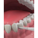 Флосс-зубочистки Тройное очищение DenTek 75 шт. (44931)