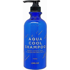 Шампунь Lebelage Aqua Cool 300 мл 