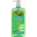 Шампунь Papoutsanis Karavaki Oil Balance Detox Shampoo для жирных волос 600 мл (39382)